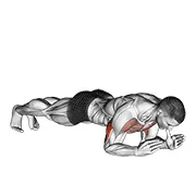 Plank to push-up position (body-up)